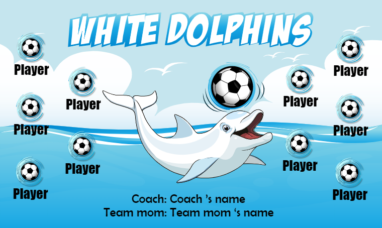 White Dolphins - Soccer Banner