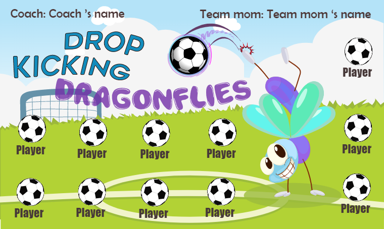 Dragonflies - Soccer Banner