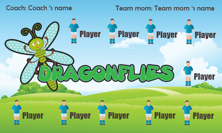 Dragonflies 2 - Soccer Banner