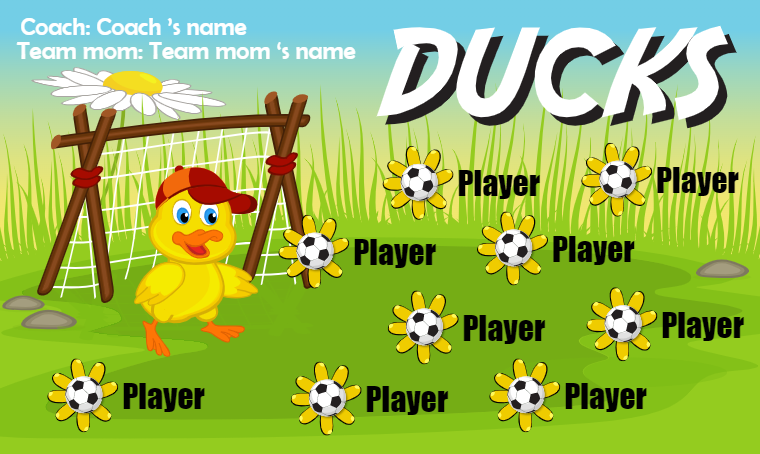 Ducks - Soccer Banner