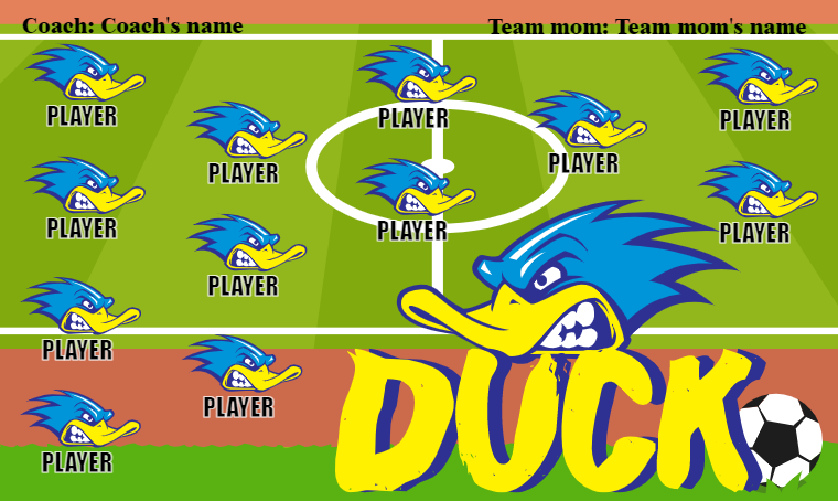 Ducks 3 - Soccer Banner