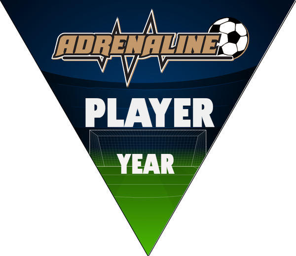 Adrenaline - Triangle Soccer Banners