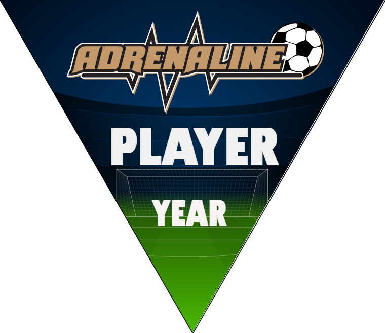 Adrenaline - Triangle Soccer Banners