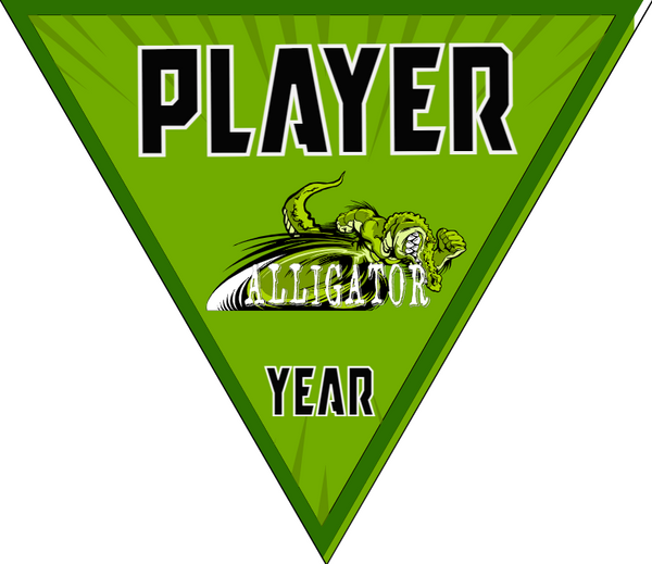 Allicator - Triangle Soccer Banners
