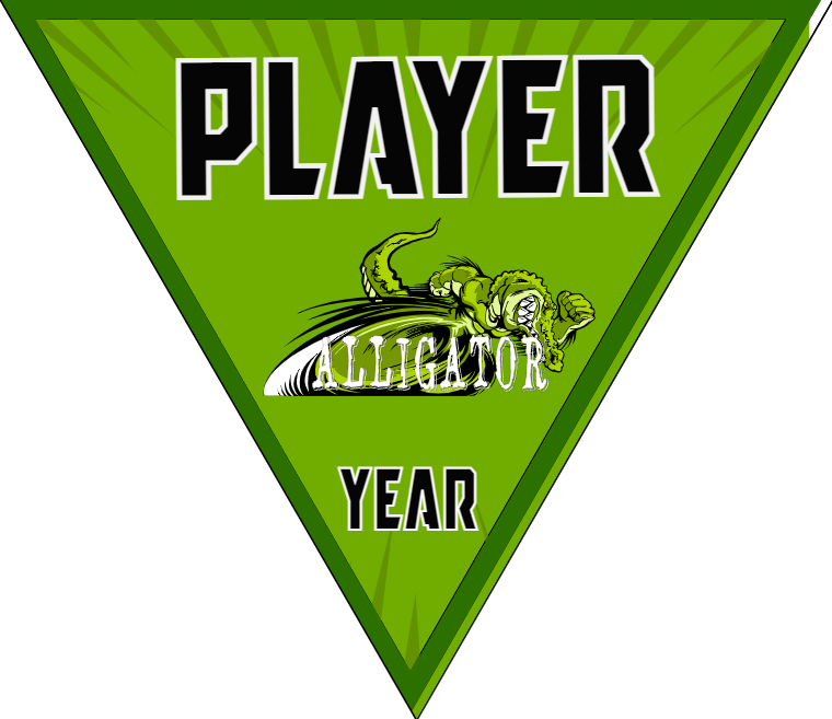 Allicator - Triangle Soccer Banners