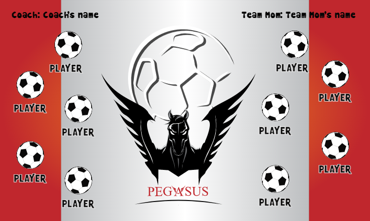 Pegasus - Soccer Banner