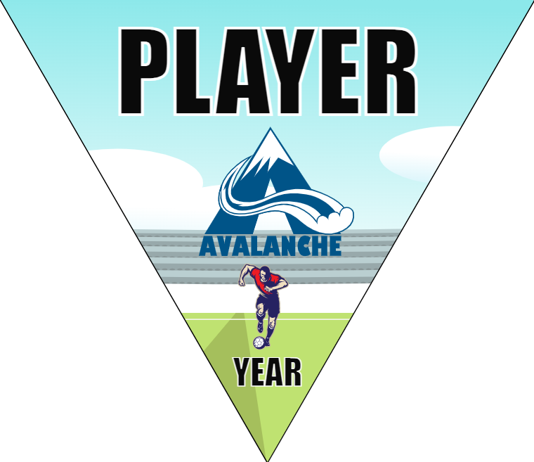 Avalanche - Triangle Soccer Banners