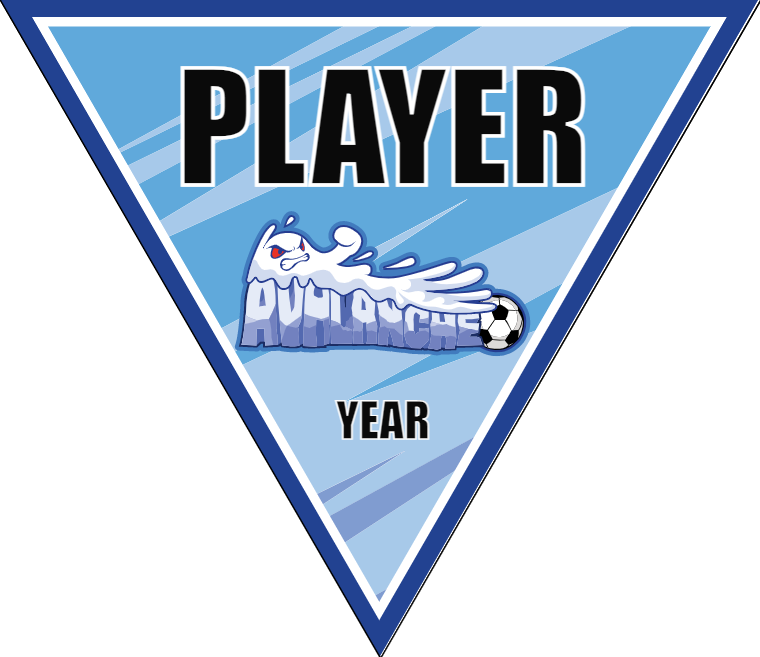 Avalanche 2 - Triangle Soccer Banners
