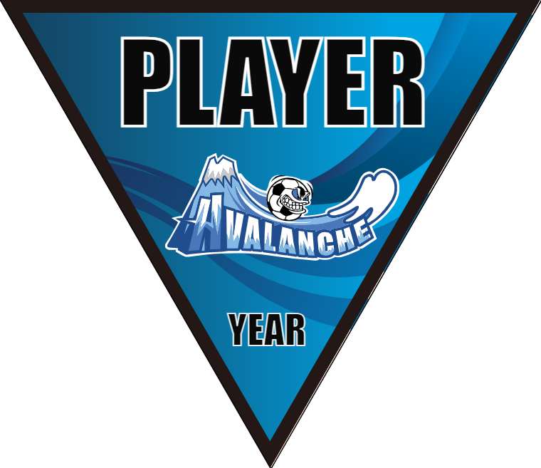 Avalanche 3 - Triangle Soccer Banners