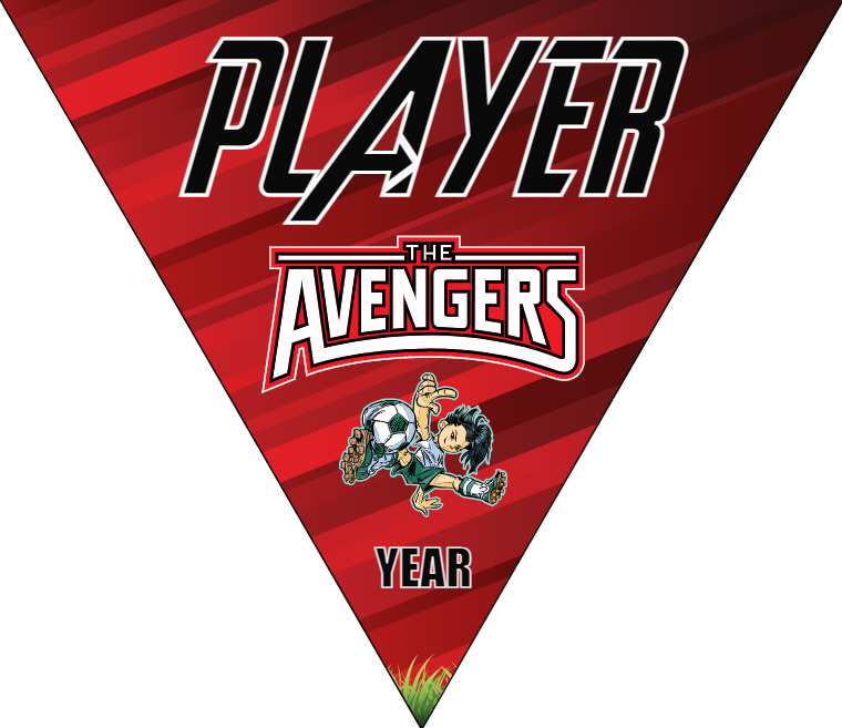 Avengers - Triangle Soccer Banners