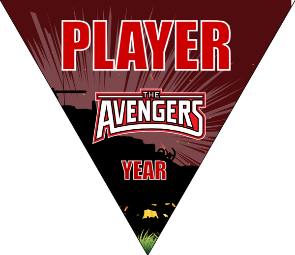 Avengers 2 - Triangle Soccer Banners