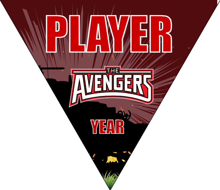 Avengers 2 - Triangle Soccer Banners
