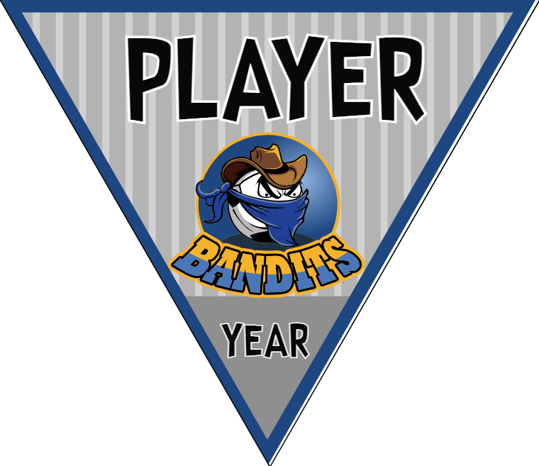 Bandits - Triangle Soccer Banners