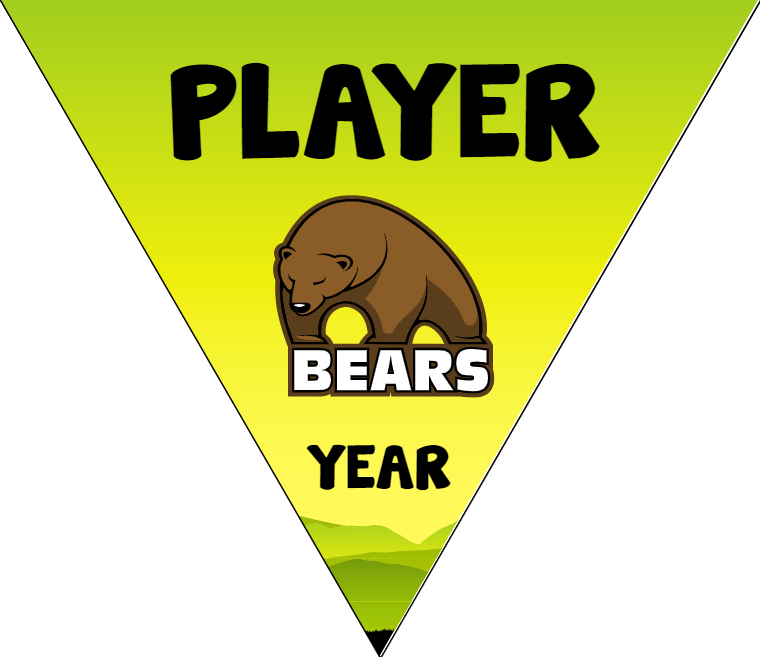 Bears - Triangle Soccer Banners