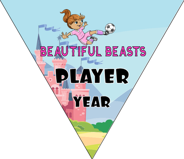 Beautiful Beasts 2 - Triangle Soccer Banners