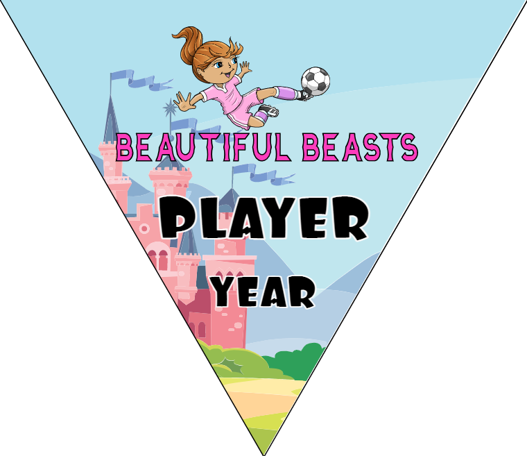 Beautiful Beasts 2 - Triangle Soccer Banners