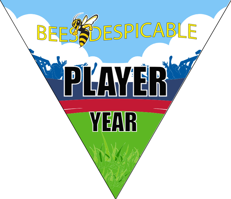 Bees Despicable - Triangle Soccer Banners