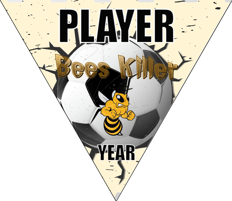 Bees Killer - Triangle Soccer Banners
