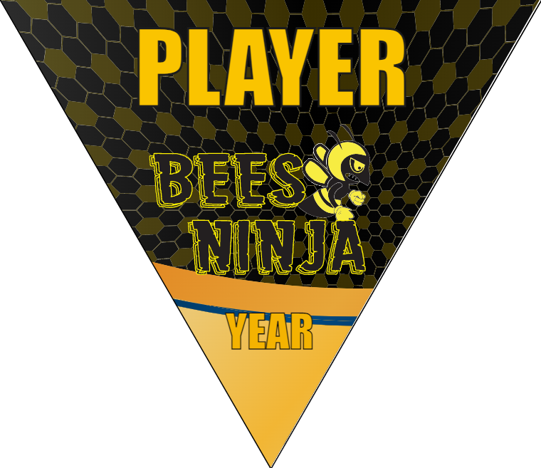 Bees Ninja - Triangle Soccer Banners