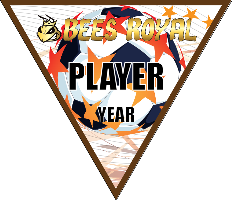 Bees Royal - Triangle Soccer Banners