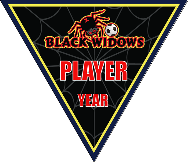 Black Widows - Triangle Soccer Banners
