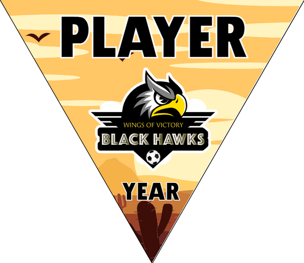 Black Hawks - Triangle Soccer Banners
