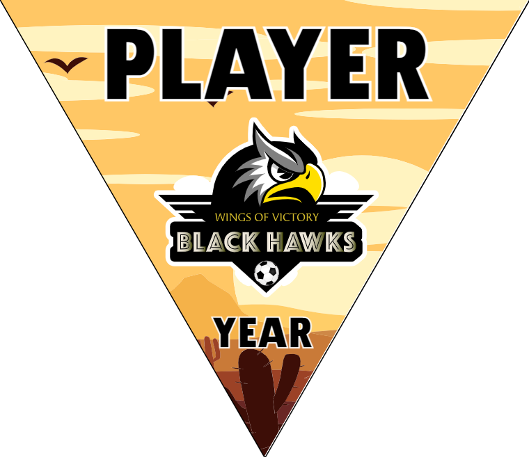 Black Hawks - Triangle Soccer Banners