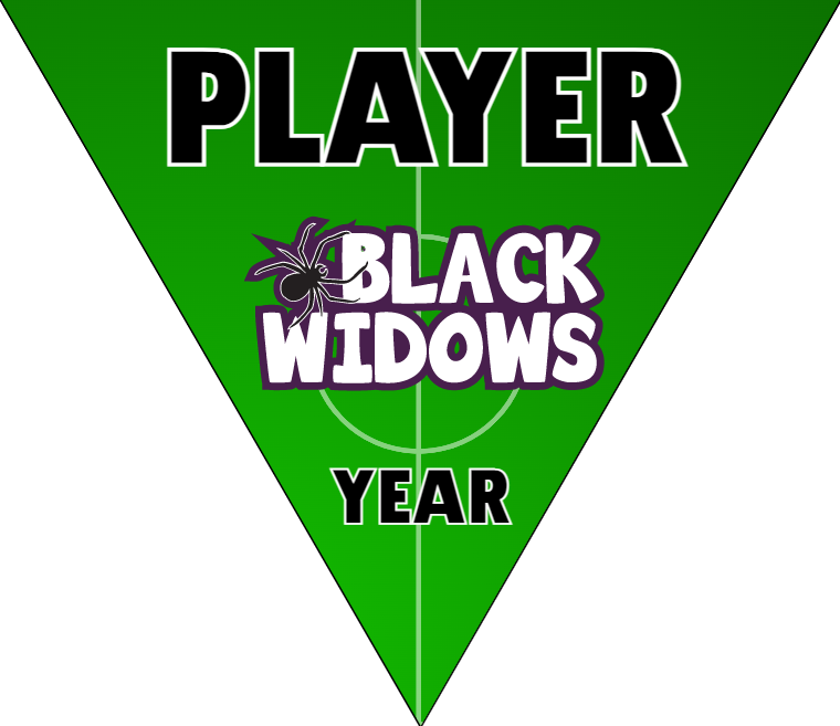 Black Widows 2 - Triangle Soccer Banners