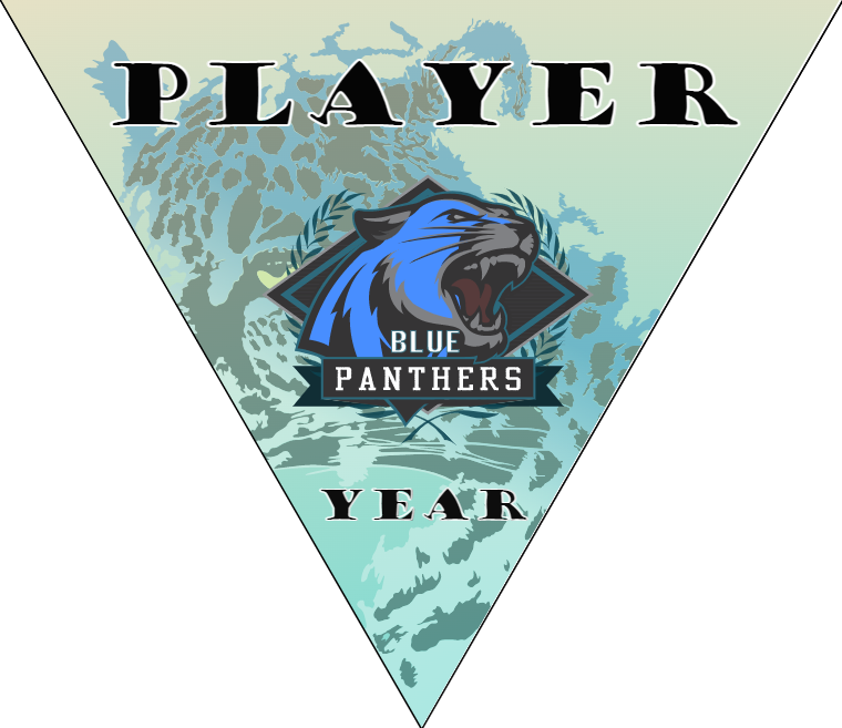 Blue Panthers - Triangle Soccer Banners