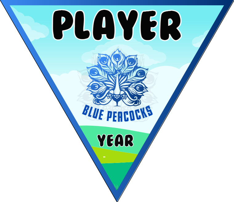 Blue Percocks - Triangle Soccer Banners