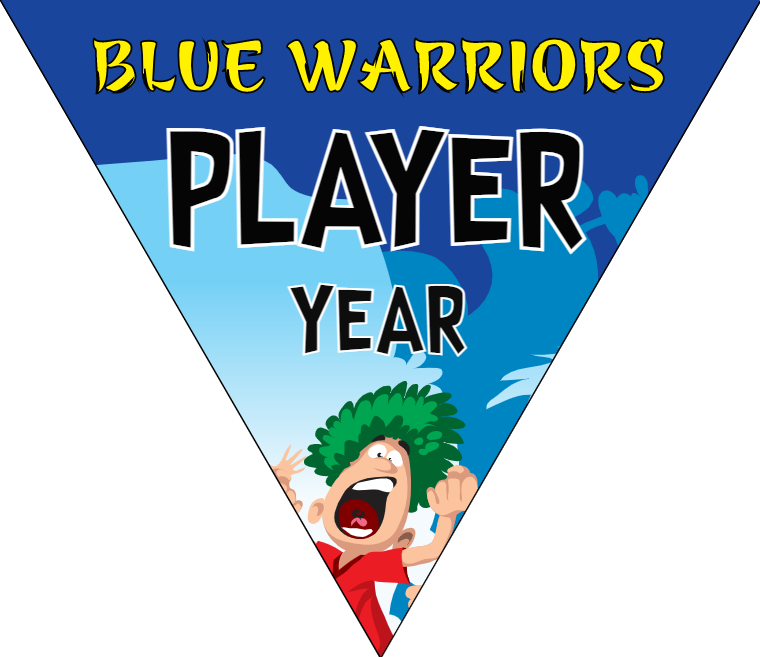 Blue Warriors - Triangle Soccer Banners
