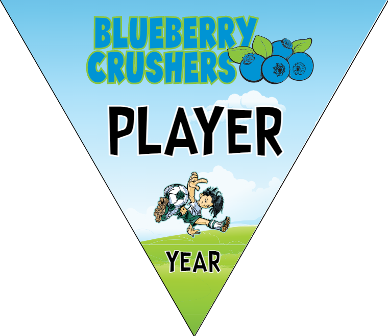 Blueberry Crushers - Triangle Soccer Banners