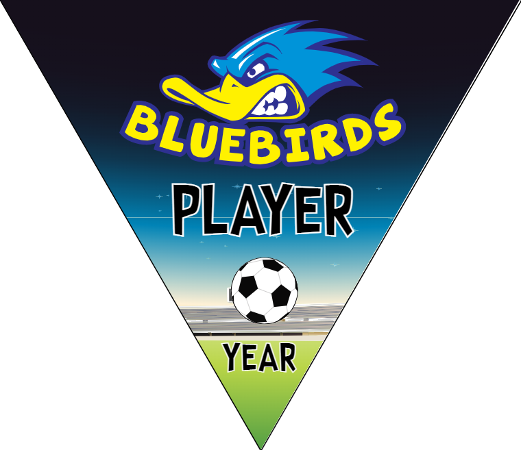 Blue Birds - Triangle Soccer Banners