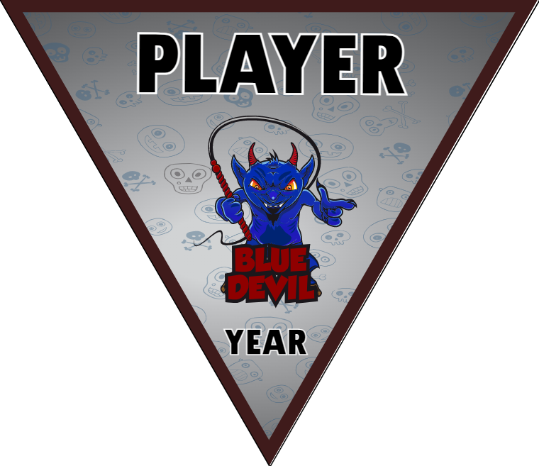 Blue Devil - Triangle Soccer Banners
