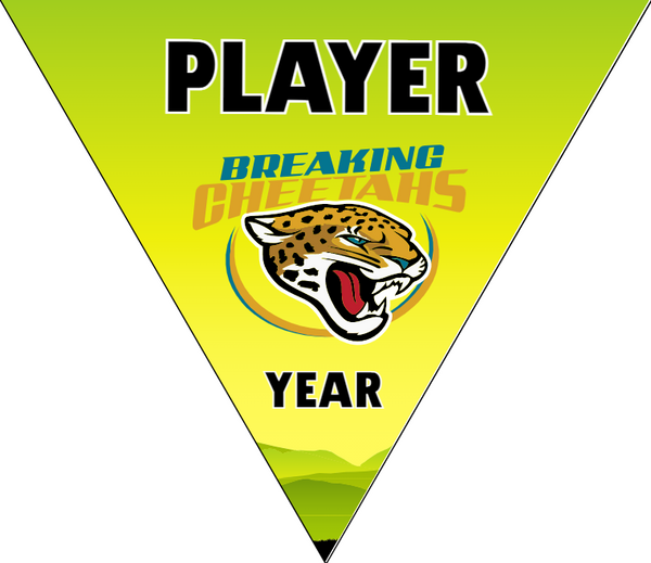 Breaking Cheetahs - Triangle Soccer Banners