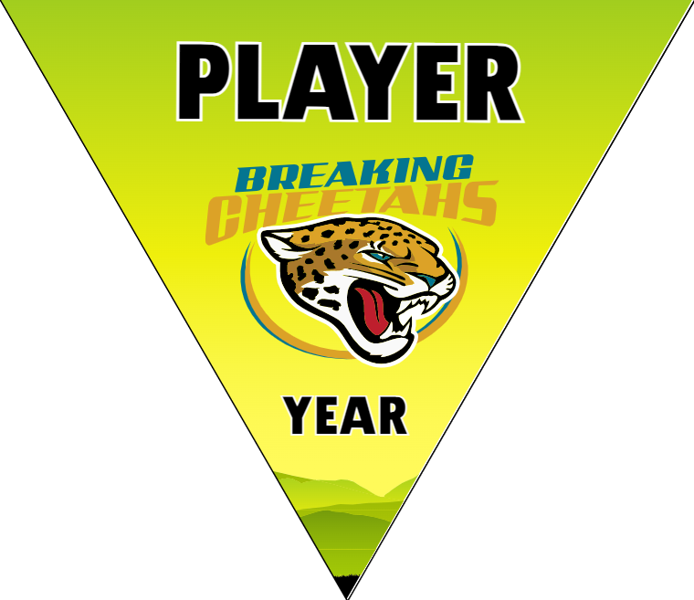 Breaking Cheetahs - Triangle Soccer Banners