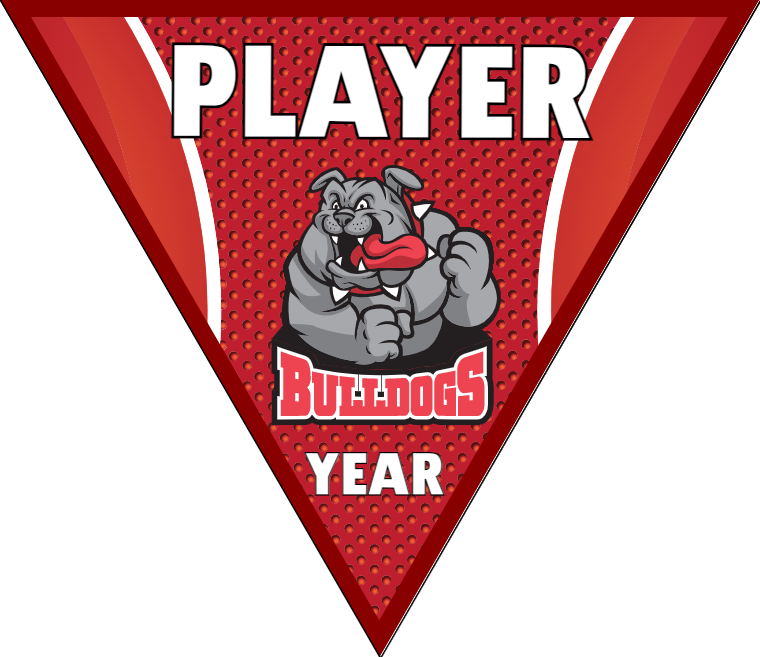 BullDogs 2 - Triangle Soccer Banners