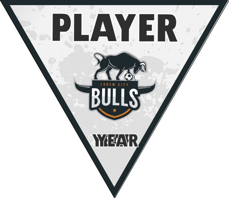 Bulls - Triangle Soccer Banners