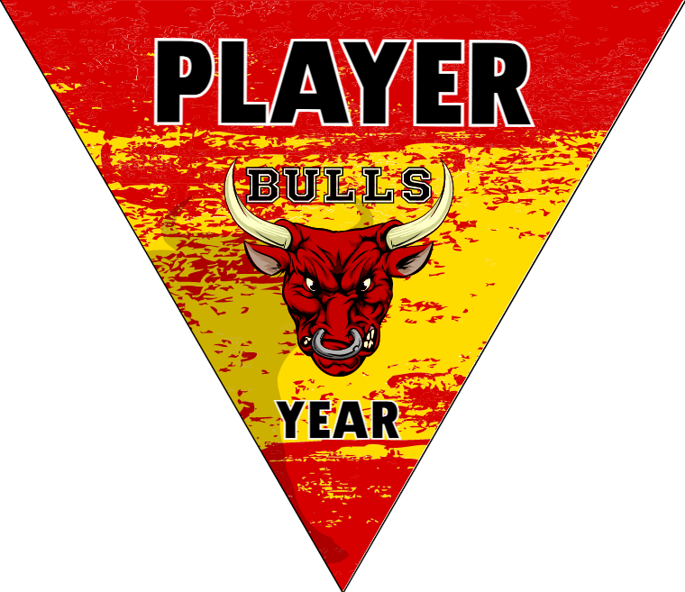 Bulls 2 - Triangle Soccer Banners