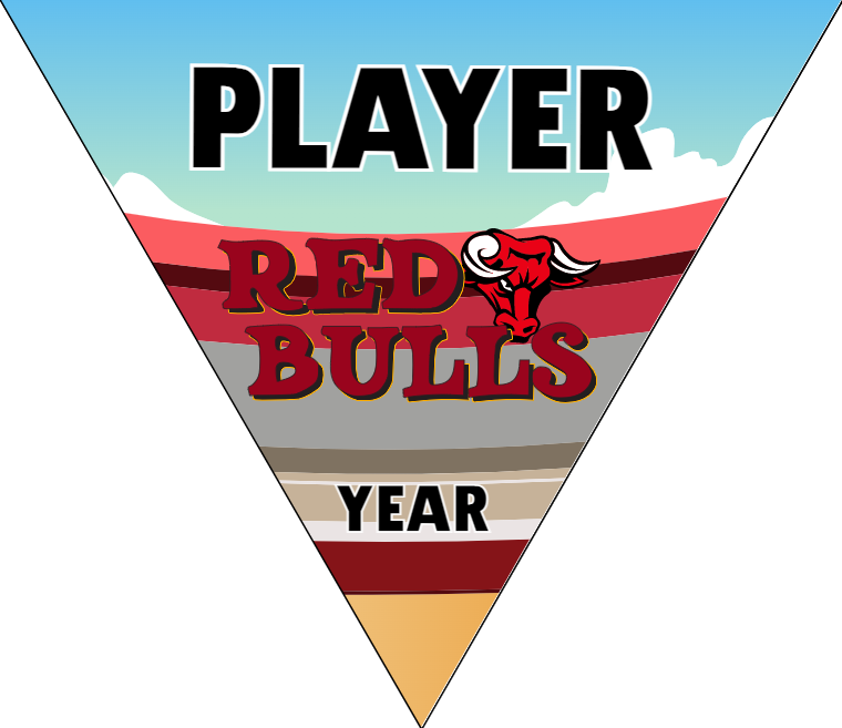 Red Bulls - Triangle Soccer Banners