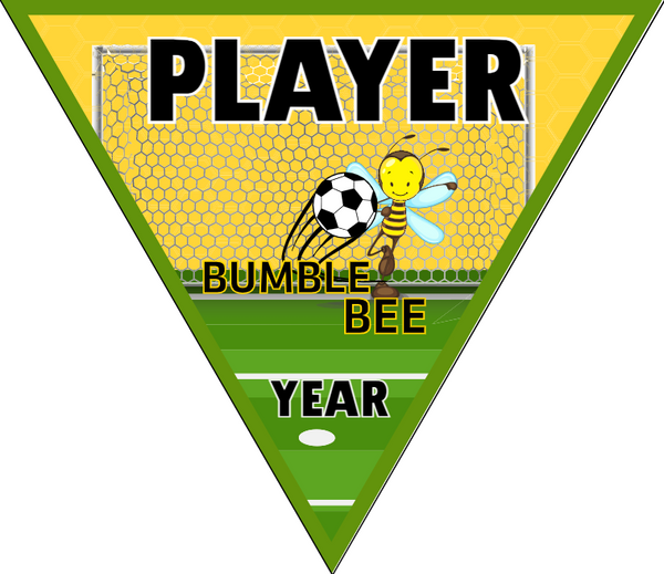 Bumble Bee - Triangle Soccer Banners
