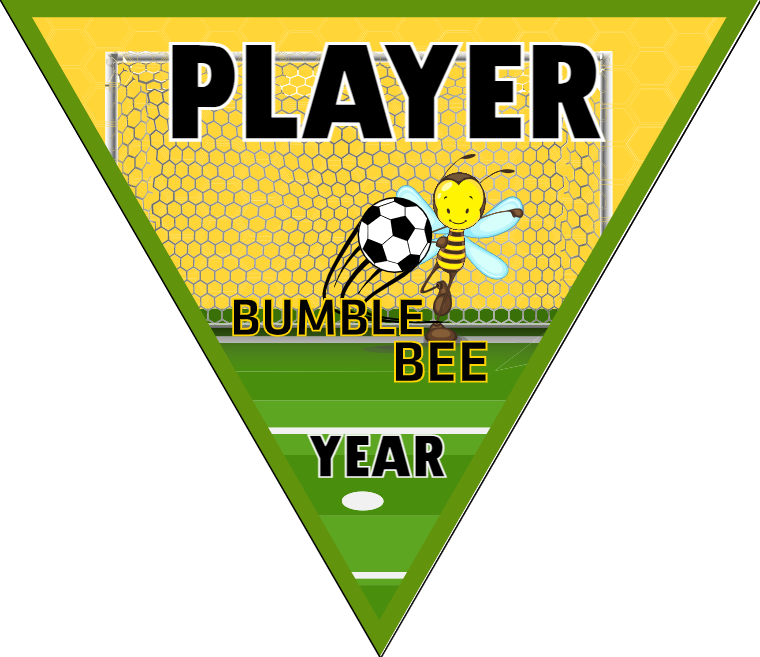 Bumble Bee - Triangle Soccer Banners