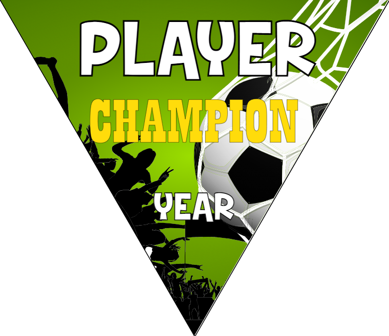 Champion - Triangle Soccer Banners