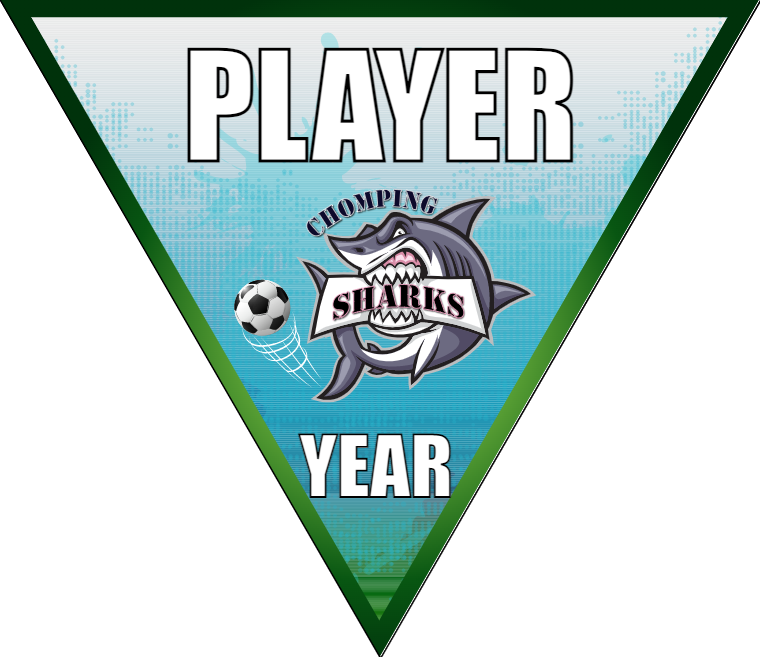 Chomping - Triangle Soccer Banners