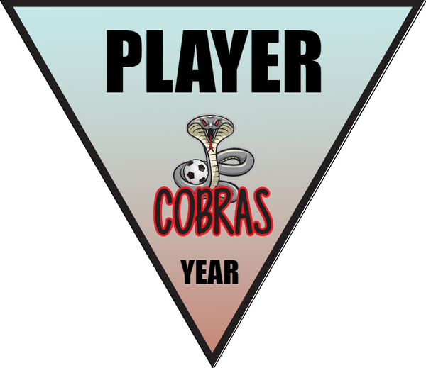 Cobras - Triangle Soccer Banners