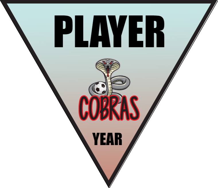 Cobras - Triangle Soccer Banners