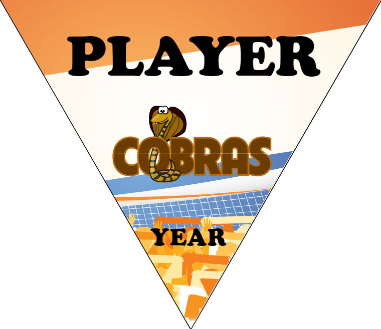 Cobras 2 - Triangle Soccer Banners
