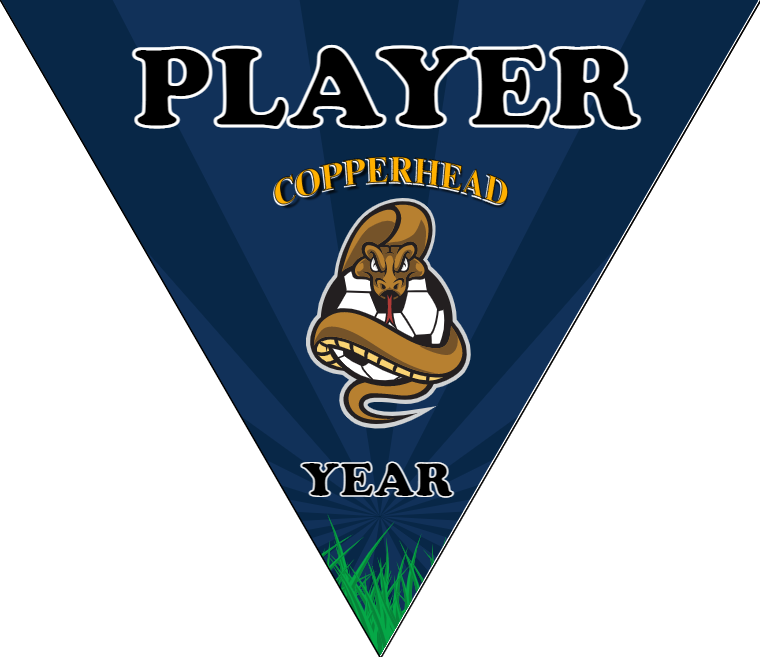 Copperhead - Triangle Soccer Banners