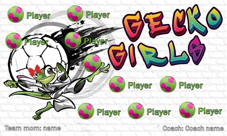 Gecko Girls - Soccer Banner