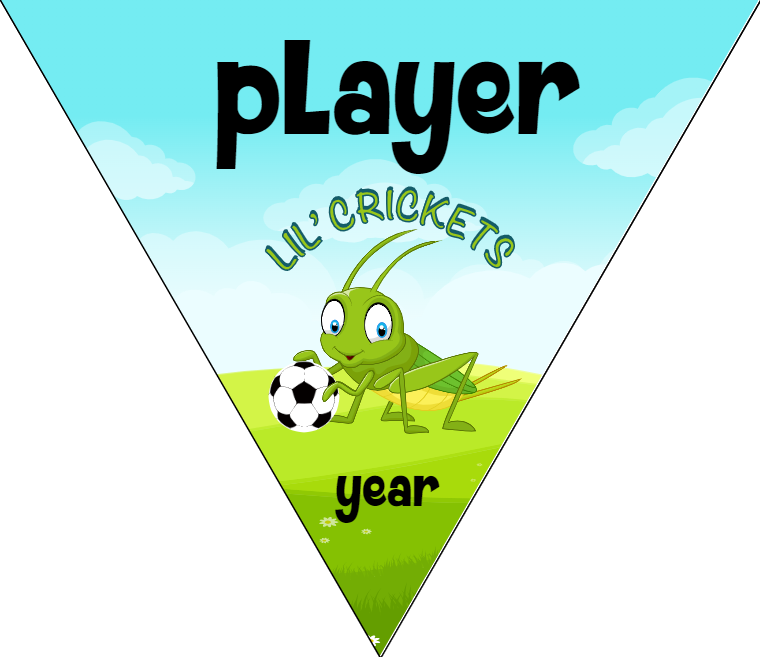 Lil' Crickets - Triangle Soccer Banners